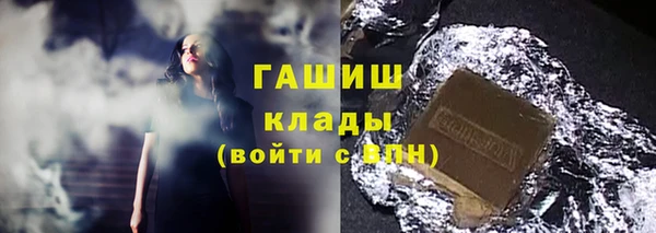 стаф Ельня