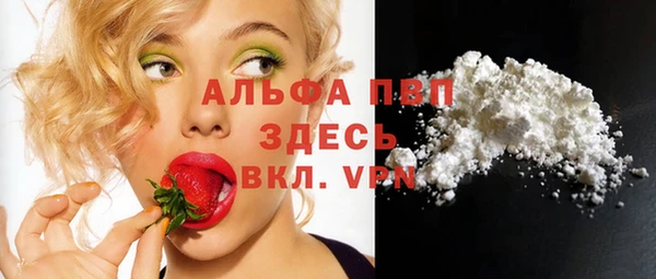 стафф Елизово