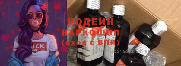 стафф Елизово
