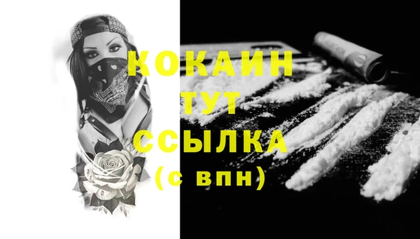 стафф Елизово