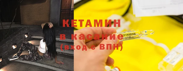 стаф Ельня