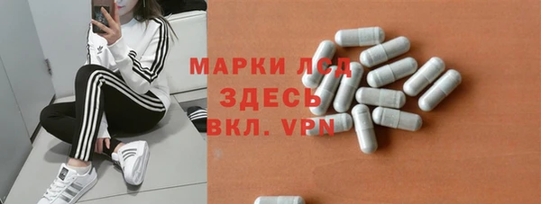 стафф Елизово
