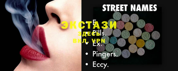 стаф Ельня