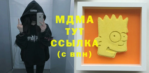 стаф Ельня