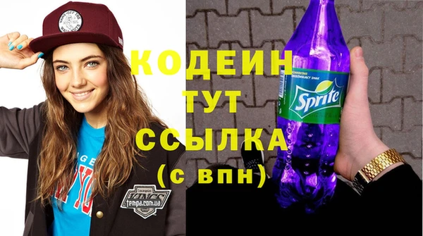стаф Ельня