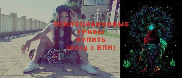 стаф Ельня