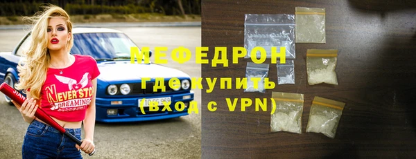 стаф Ельня