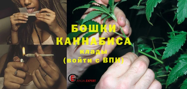 стафф Елизово