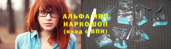 стафф Елизово