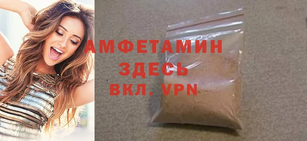 стаф Ельня