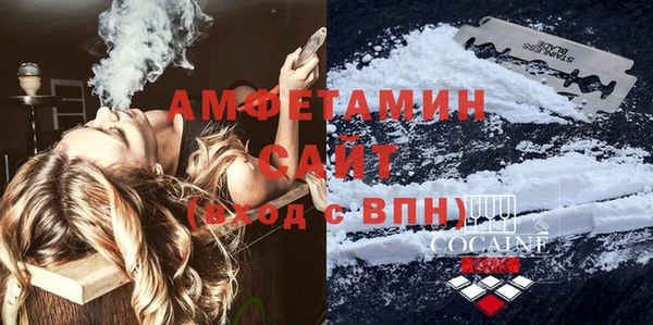 стаф Ельня