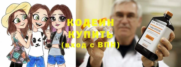 стаф Ельня
