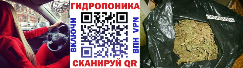 Купить где  Пересвет  МАРИХУАНА конопля 